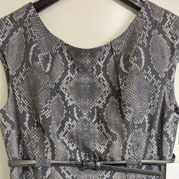 Calvin Klein Sheath Dress - Snakeskin Sleek Belt Silver Grey Fitted Slit Size 6 - Picture 5 of 15